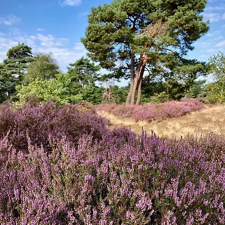 Met Hottub | 4 Personen - Valley