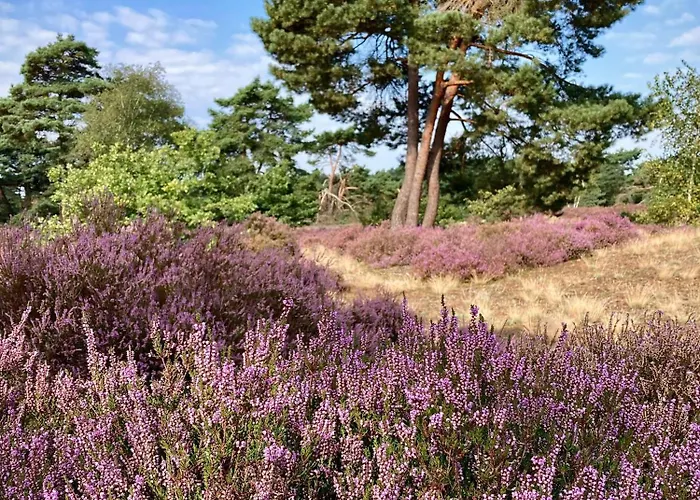 Met Hottub | 4 Personen - Valley