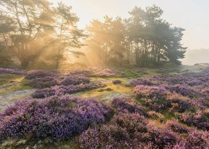 Met Hottub | 4 Personen - Valley