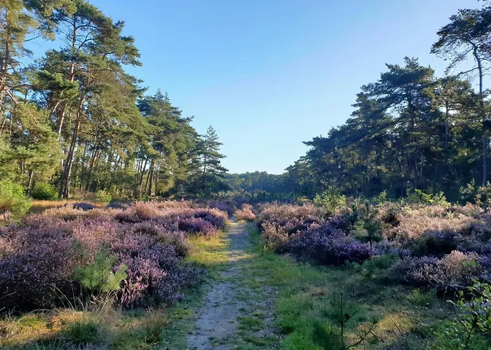 Met Hottub | 4 Personen - Valley Villa
